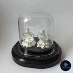 Shubh Lakshmi Ganesh 3D Idol – 999 Silver with Transparent Dome.